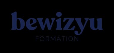 Bewizyu Logo